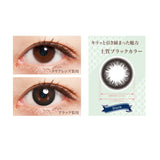 2ウィーク ゼル ナチュラル 2week ZERU. Natural UV Moist ブラック 1箱6枚入 2週間交換